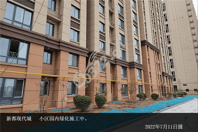 新都现代城7月家书丨蓬勃盛夏美好焕新