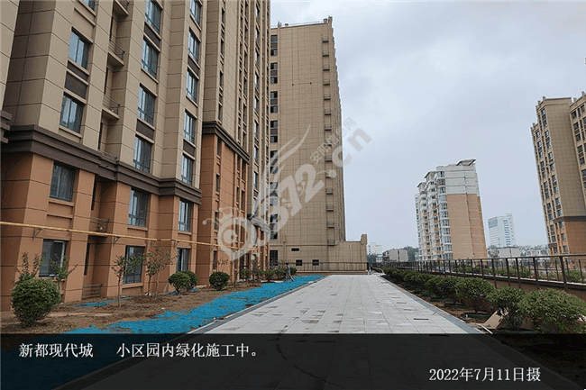 新都现代城7月家书丨蓬勃盛夏美好焕新