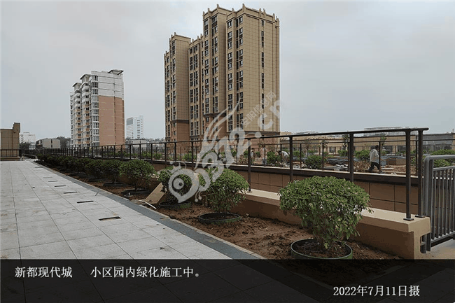 新都现代城7月家书丨蓬勃盛夏美好焕新