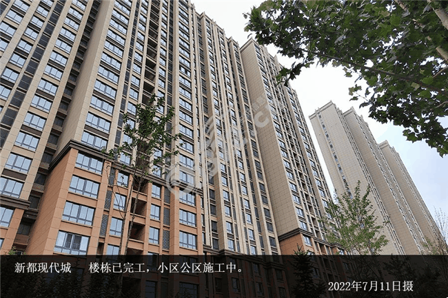 新都现代城7月家书丨蓬勃盛夏美好焕新