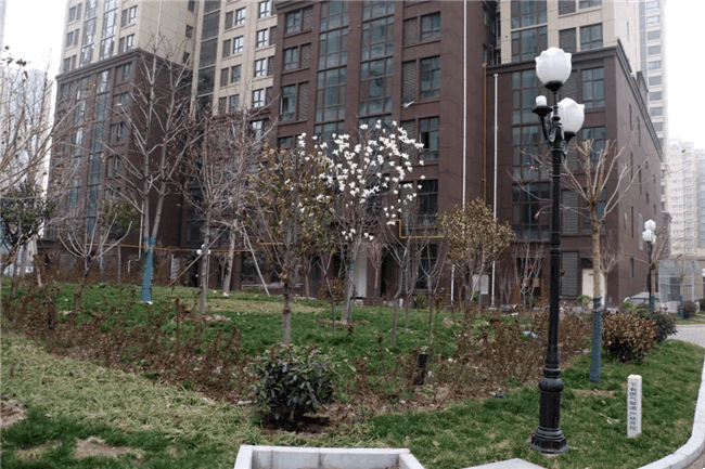 (上城北郡小区实景拍摄)